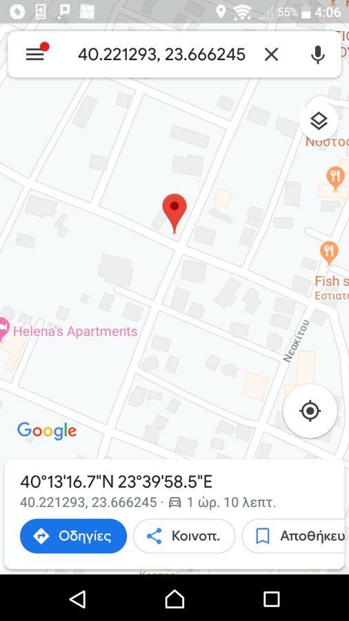Mihail Никити Экстерьер фото